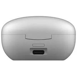 Fresh 'n Rebel Twins Rise ANC Grau