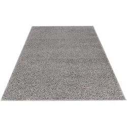 Hochflor-Teppich OBSESSION "My Twist 215", silber (silberfarben), B:120cm H:35mm L:170cm, Polypropylen, Teppiche, besonder weich, glänzend, Wohnzimmer