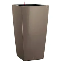 LECHUZA Cubico 50 Komplettset 50 x 50 x 95 cm taupe hochglanz