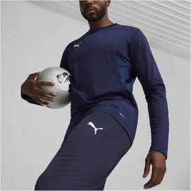 Puma teamGOAL Trainingshose Blau S