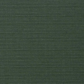 Siena Garden Centauri Sesselauflage hoch 120x48x3cm Polyester grün