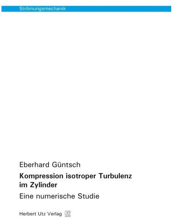 Strömungsmechanik / Kompression Isotroper Turbulenz Im Zylinder - Eberhard Güntsch, Kartoniert (TB)