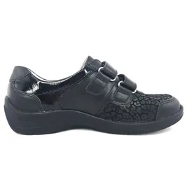 WALDLÄUFER Hesna (312H01)