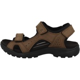 ECCO Onroads Herren cocoa brown/black 41