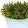 ETC Shop Solar LED Blumenkübel Kunststoff H 19 cm 2er Set weiß