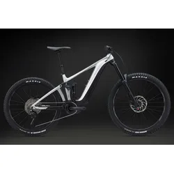 GIANT REIGN E+ 3 | V2 | 800 Wh | Raw Aluminum | 2024