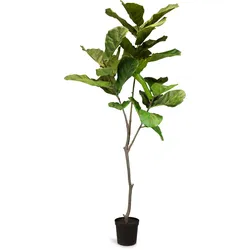 Künstlicher Geigenfeigenbaum - Ficus Lyrata 193 cm