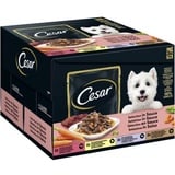 Cesar Favoriten in Sauce 24 x 100 g