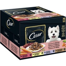 Cesar Favoriten in Sauce 24 x 100 g