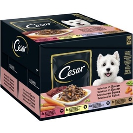 Cesar Favoriten in Sauce 24 x 100 g