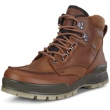 ECCO Herren TRACK25M Klassische Stiefel, Braun (Bison 52600), 43 EU
