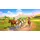 Horse Club Adventures 2: Hazelwood Stories - Edition (USK) (Nintendo Switch)