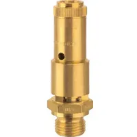 Riegler Sicherheitsventil DN 10, Messing, G 1/2, Ansprechdruck 0,2