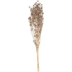 VOSTEEN 1 Stück Trockenblumenstrauß - Dekobündel, Blütenmix, Zierpflanzen, Naturdeko - Boho-Look, langlebig, stilvoll