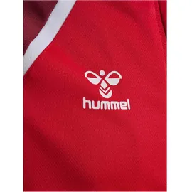 hummel Lead 2.0 Kapuzenjacke Herren True Red/Maroon L