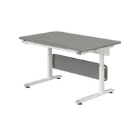 Paidi Kinderschreibtisch Diego Grau