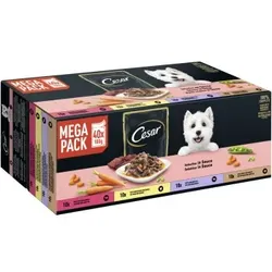 Cesar Mega Pack Portionsbeutel Selektion in Sauce 4 Varietäten 40x100g