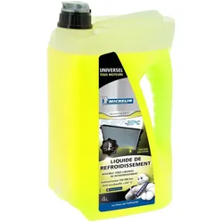 Michelin Frostschutz 009214
