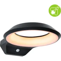 Paulmann Anela 94837 LED-Wandleuchte 12W LED Anthrazit