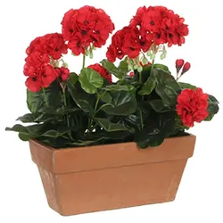 Mica Decorations Geranie Pvc Rot Geranie In Balkon Pflanzer 29X13X40Cm