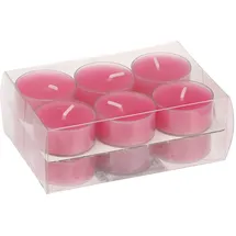 Wiedemann Kerzen Teelichter 18 x 38 mm 12 St. pink