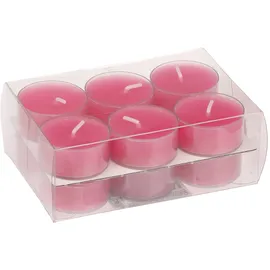 Wiedemann Kerzen Teelichter 18 x 38 mm 12 St. pink
