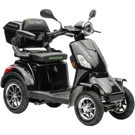 ECONELO P4000 Blei-Akku Schwarz