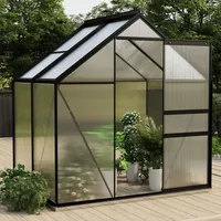 YEZIYIYFOB Gewächshaus Anthrazit Aluminium 2,47 m2 130 B cm GewäChshaus Klein Frostschutz Pflanzen Winterschutz FrostwäChter GewäChshaus Winterfest GeräTehaus Tomatenhaus Enthalten Fundament