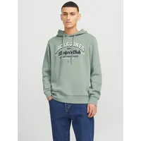 JACK & JONES Logo 2 Col Kapuzenpullover Iceberg Green