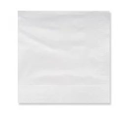 Karton 60 Stück. Papierservietten 20x20 2 Lagen – Farbe – Weiß
