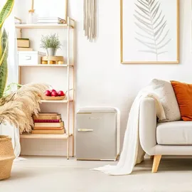 Cecotec Bolero CoolMarket TT Origin Retro-Kühlschrank (45 l, 550 mm hoch, Beige)