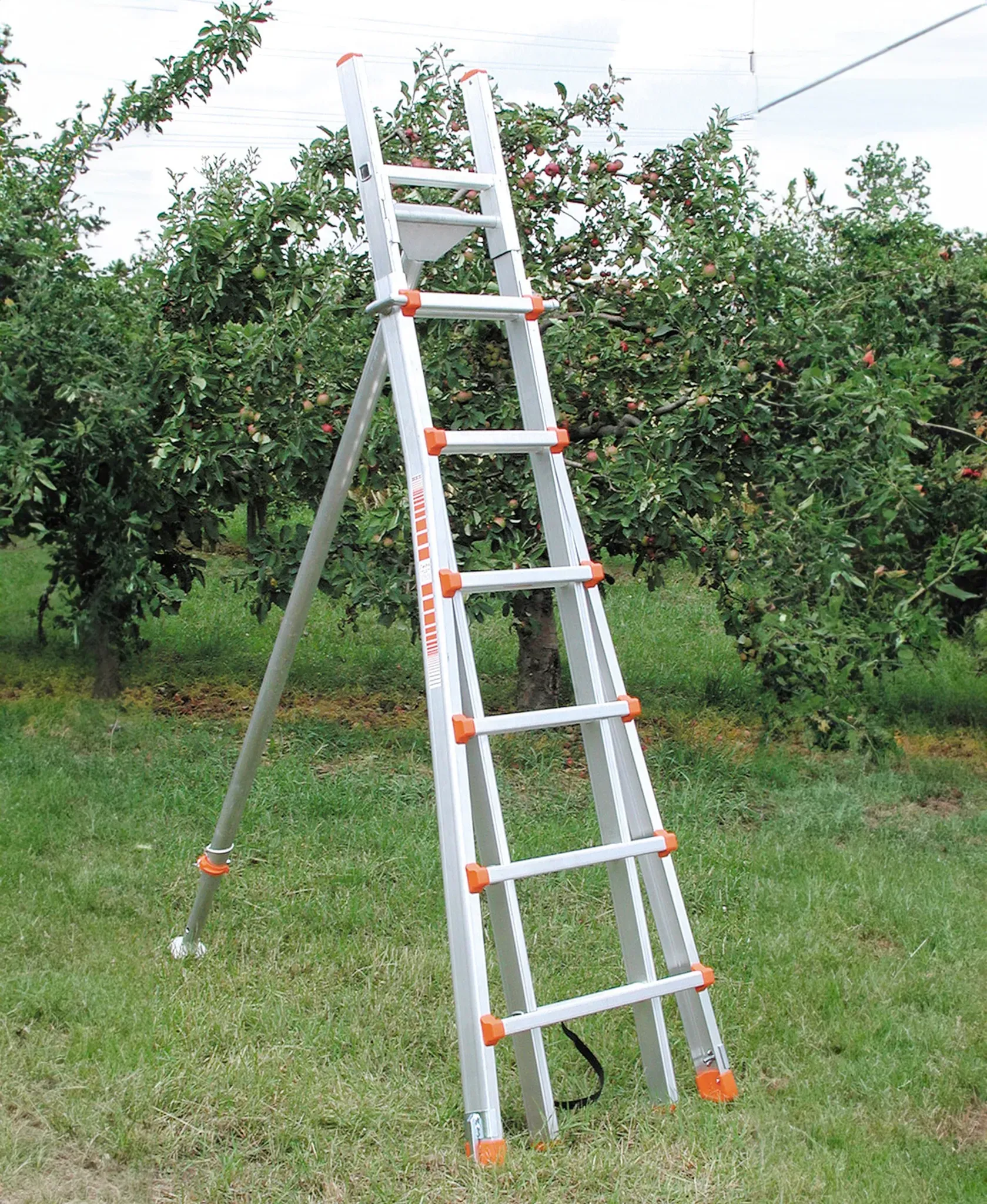 Siedra Obstbaumleiter Baumfreund