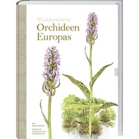 Landwirtschaftsverlag Wunderschöne Orchideen Europas: Henrik Pedersen/ Bo Mossberg