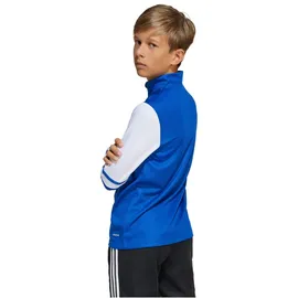 adidas Squadra 25 Team Royal Blue/White 116