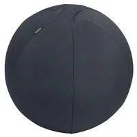 Leitz Ergo Active Sitzball dunkelgrau 55,0 cm