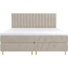 Mirjan24 Elegance 160 x 200 cm Beige