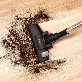 Cecotec Conga Rockstar Multicyclonic XL Animal schwarz