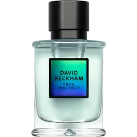 David Beckham True Instinct Eau de Parfum 50 ml