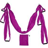 Horoper Yoga-Hängematte, Aerial Yoga-Schaukel-Set, Polyester-Baumwolle, Verstellbar, Verbessert die Flexibilität, Yoga-Hängematte für Fitness, Tanz, Ballett, Gymnastik(Lila)