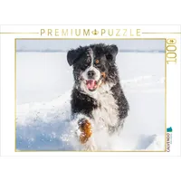 Calvendo Puzzle Berner Sennenhund in seinem Element 1000 Teile