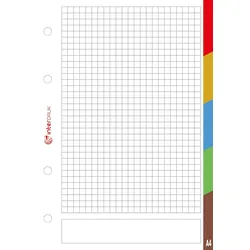 Interdruk Ringbucheinlagen mit Register A4 kariert 50 Blatt 5tlg