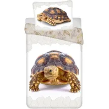 COFI 1453 Turtle Baumwolle Beige 140 x 200 cm + 70 x 90 cm