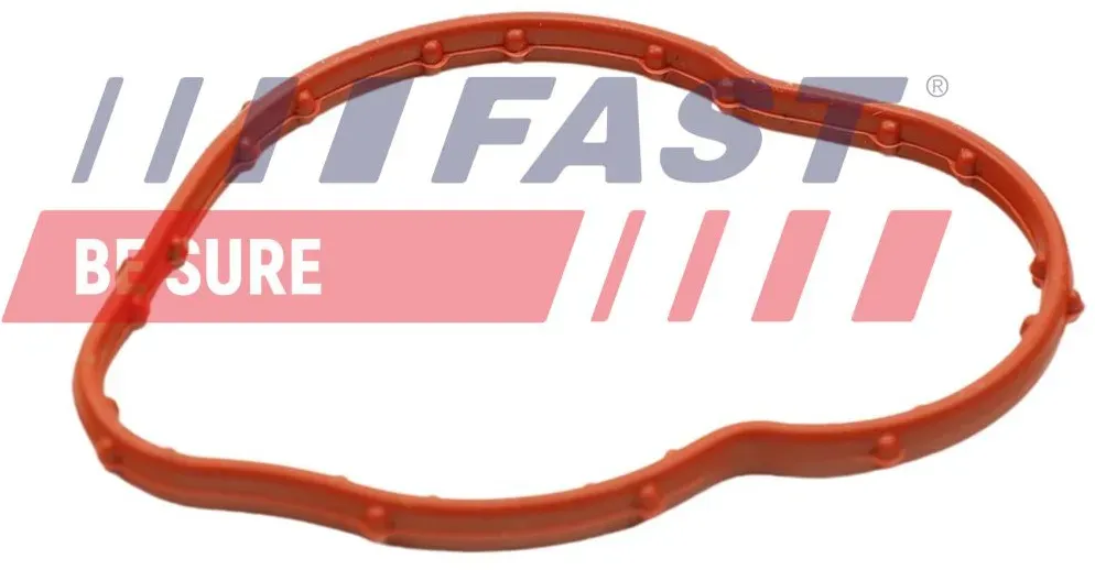 FAST Dichtung, Thermostat ft58305 für RENAULT
