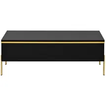 Okwish Schwarz Holzwerkstoff 36 x 50 x 100 cm
