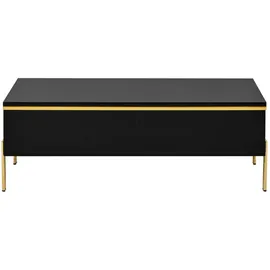 Okwish Schwarz Holzwerkstoff 36 x 50 x 100 cm
