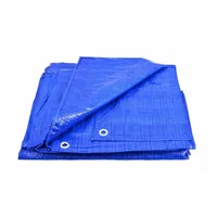 Bricoline AWTOOLS BLAUE PLANE 70g 4* 8m