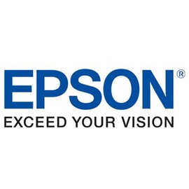 Epson WorkForce DS-310 (B11B241401)