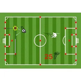 Plifix Markierhilfe für Sportplätze, Weiß