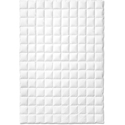 Sanders Atelier Premium Daunendecke medium