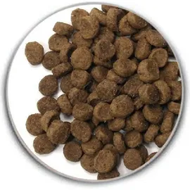 Taste of the wild High Prairie Puppy 12,2 kg